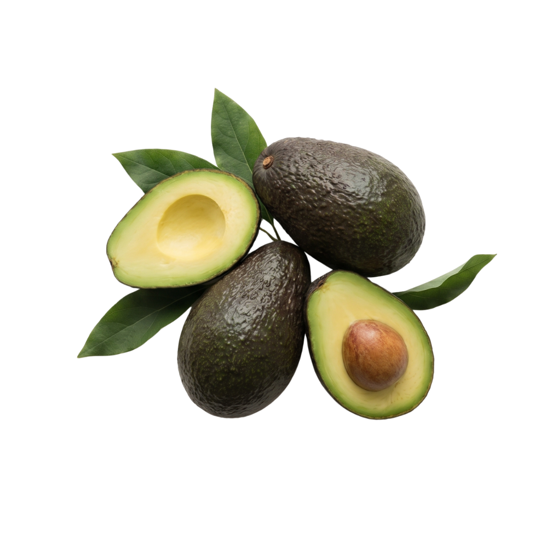 Vitamin E Extract